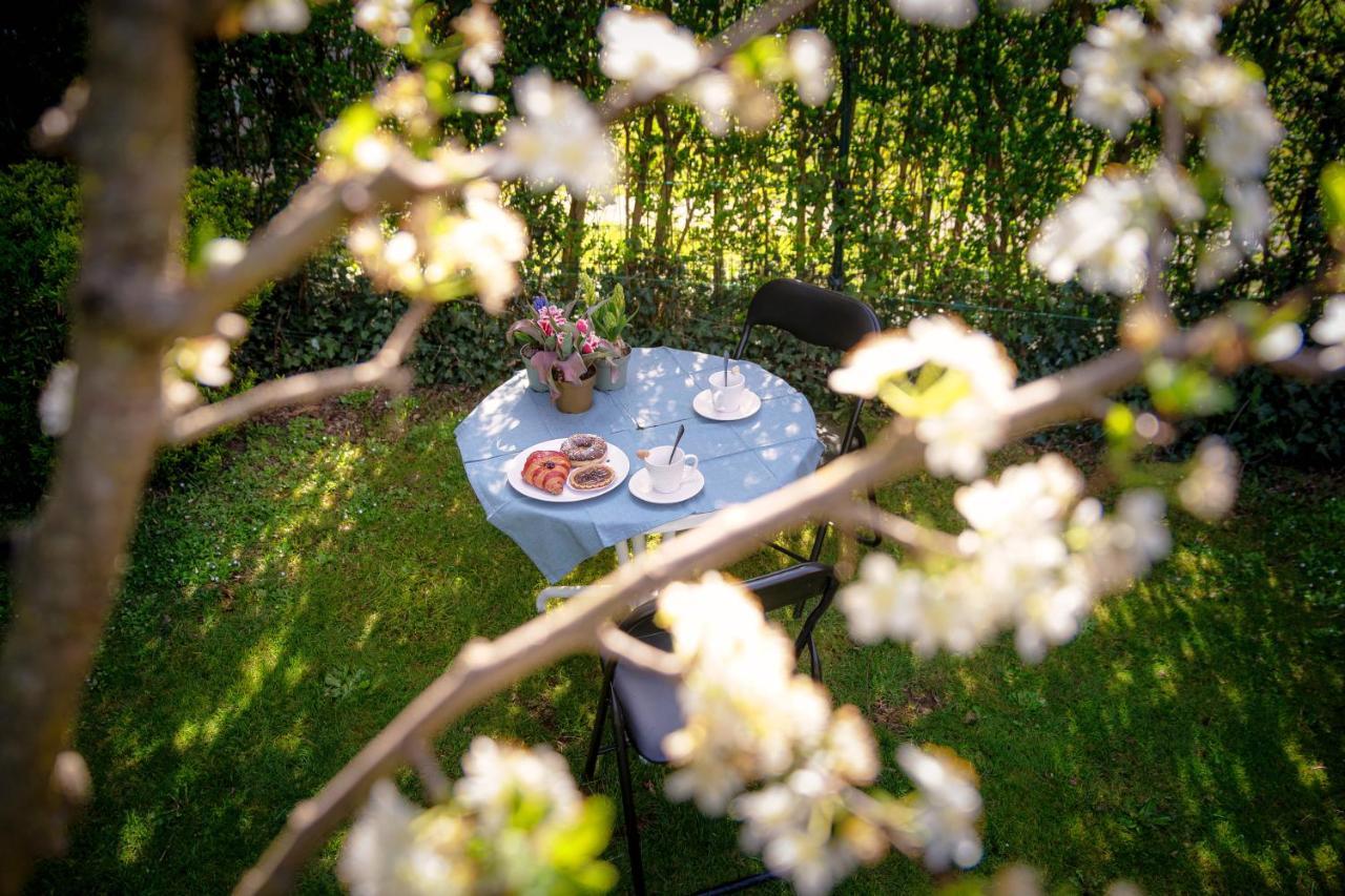 My Sweet Garden - By Myhomeincomo Cassina Rizzardi Esterno foto